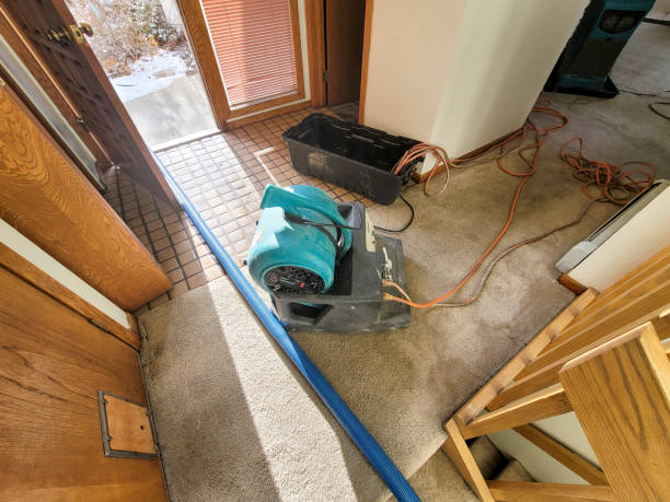 24/7 water damage repair in Calabasas, CA
