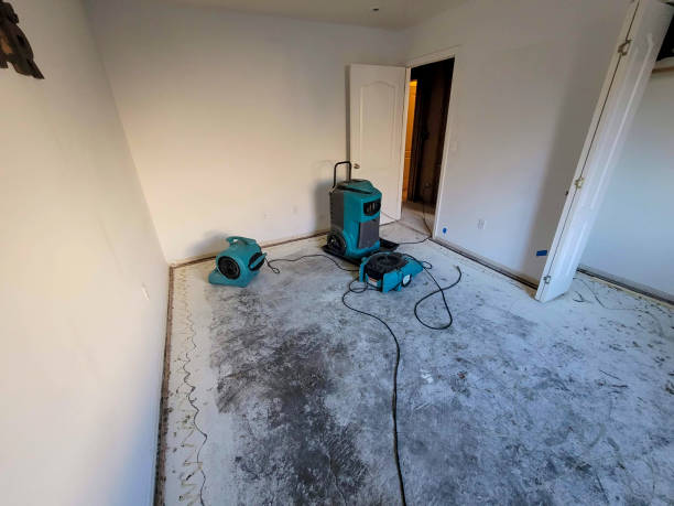 Best Basement water damage restoration  in Labasas, CA