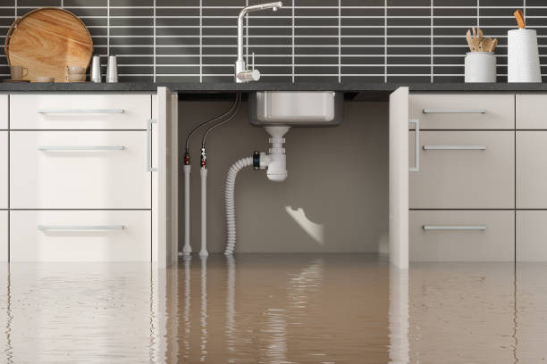  Labasas, CA Water damage restoration Pros